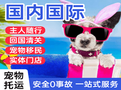 江北机场空运国际宠物托运 【国